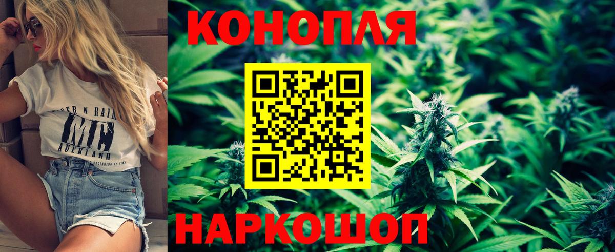 МАРИХУАНА планчик  Вход с VPN  Новоалександровск  Бошки марихуана план  Каннабис конопля 