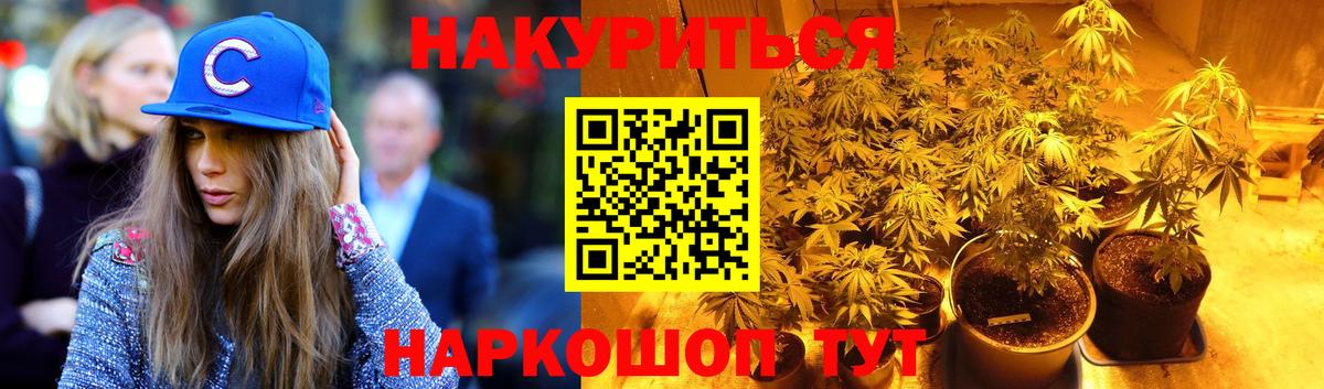 Бошки Шишки гибрид Новоалександровск